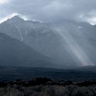 Sierra sunbeam