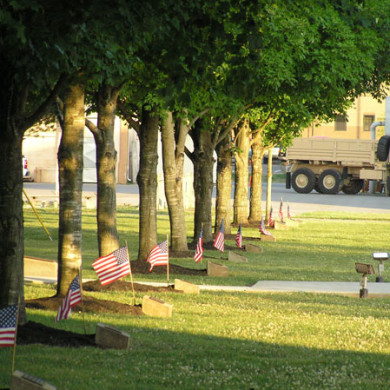The Trees of the Dead, on Gabriel Field at the 5th Special Forces parade grounds, Fort Campbell, Kentucky. Photo: Bruce Watts.
